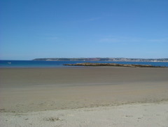 Photo /users/aendr/whiterabbit/306