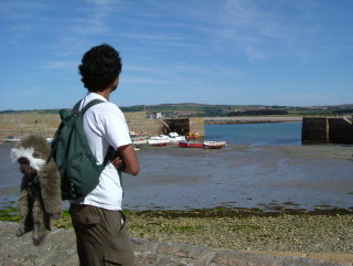 Photo /users/aendr/whiterabbit/308