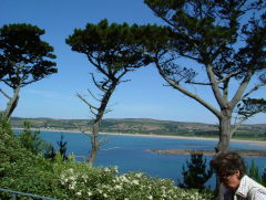 Photo /users/aendr/whiterabbit/310