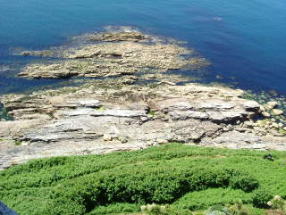 Photo /users/aendr/whiterabbit/315