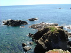 Photo /users/aendr/whiterabbit/330