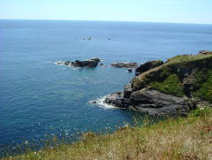 Photo /users/aendr/whiterabbit/334