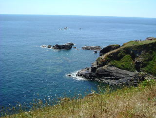 Photo /users/aendr/whiterabbit/334