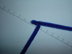 Photo /users/aendr/whiterabbit/346