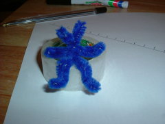 Photo /users/aendr/whiterabbit/365