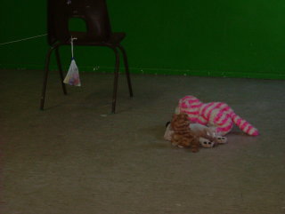 Photo /users/aendr/whiterabbit/414