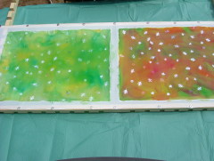 Photo /users/aendr/whiterabbit/416