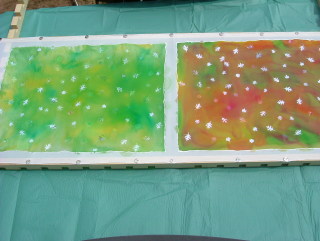 Photo /users/aendr/whiterabbit/416