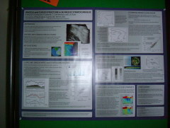 Photo /users/aendr/whiterabbit/446