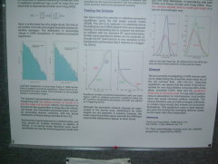 Photo /users/aendr/whiterabbit/455