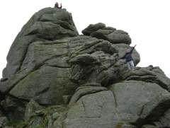 Photo /users/aendr/whiterabbit/508