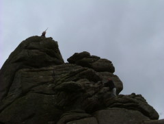 Photo /users/aendr/whiterabbit/509