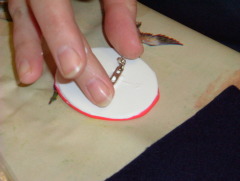 Photo /users/aendr/whiterabbit/51