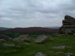 Photo /users/aendr/whiterabbit/520