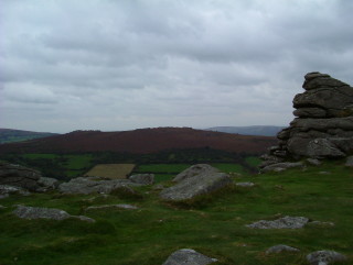 Photo /users/aendr/whiterabbit/520