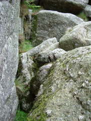 Photo /users/aendr/whiterabbit/523