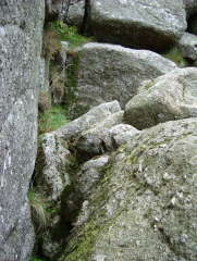 Photo /users/aendr/whiterabbit/524