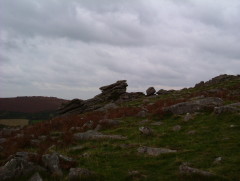 Photo /users/aendr/whiterabbit/528