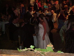 Photo /users/aendr/whiterabbit/575