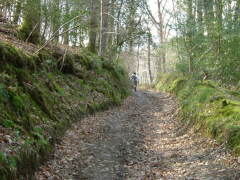 Photo /users/aendr/whiterabbit/58