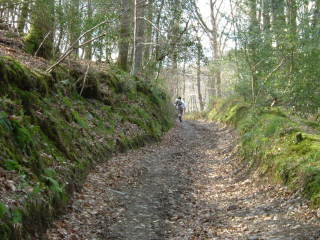 Photo /users/aendr/whiterabbit/58