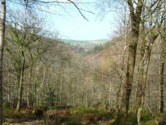 Photo /users/aendr/whiterabbit/59