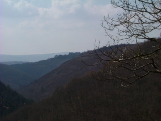 Photo /users/aendr/whiterabbit/63