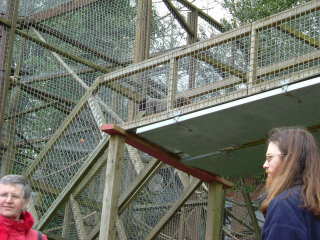 Photo /users/aendr/whiterabbit/65