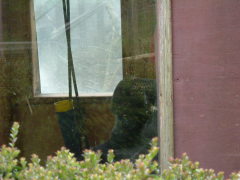 Photo /users/aendr/whiterabbit/66