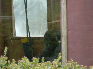 Photo /users/aendr/whiterabbit/66