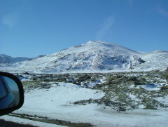 Photo /users/aendr/whiterabbit/673