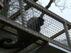 Photo /users/aendr/whiterabbit/68