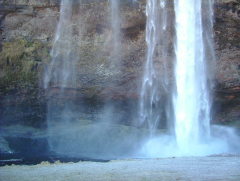 Photo /users/aendr/whiterabbit/688