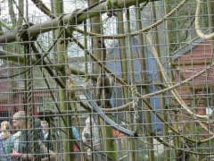 Photo /users/aendr/whiterabbit/69