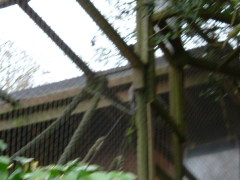 Photo /users/aendr/whiterabbit/70