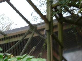 Photo /users/aendr/whiterabbit/70