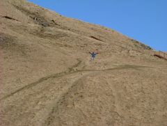 Photo /users/aendr/whiterabbit/706