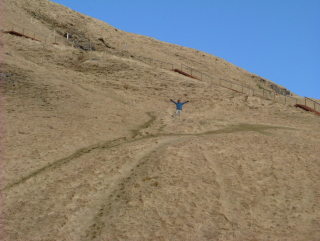 Photo /users/aendr/whiterabbit/706