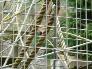 Photo /users/aendr/whiterabbit/71