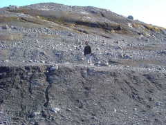 Photo /users/aendr/whiterabbit/716