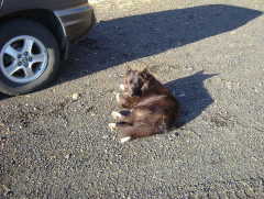 Photo /users/aendr/whiterabbit/719