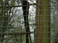 Photo /users/aendr/whiterabbit/72