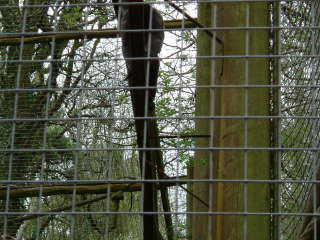 Photo /users/aendr/whiterabbit/72