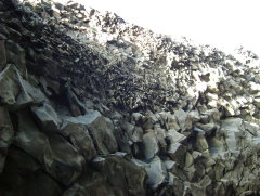 Photo /users/aendr/whiterabbit/727