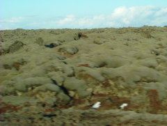 Photo /users/aendr/whiterabbit/729