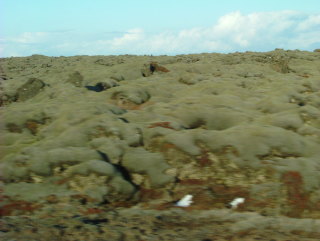 Photo /users/aendr/whiterabbit/729