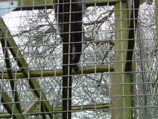 Photo /users/aendr/whiterabbit/73