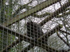 Photo /users/aendr/whiterabbit/74