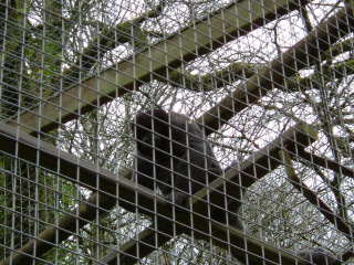 Photo /users/aendr/whiterabbit/74