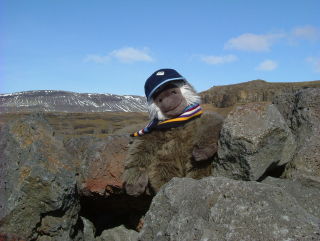 Photo /users/aendr/whiterabbit/744